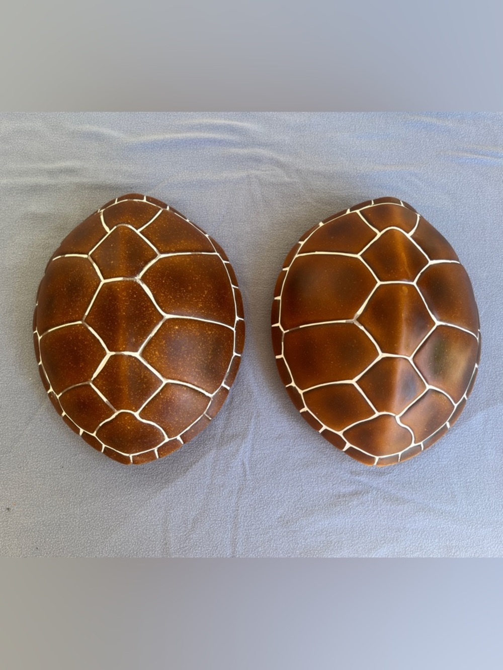 Turtle Shell Resin Faux Figurine Pair Decorative Turtle Collectible Wall Art